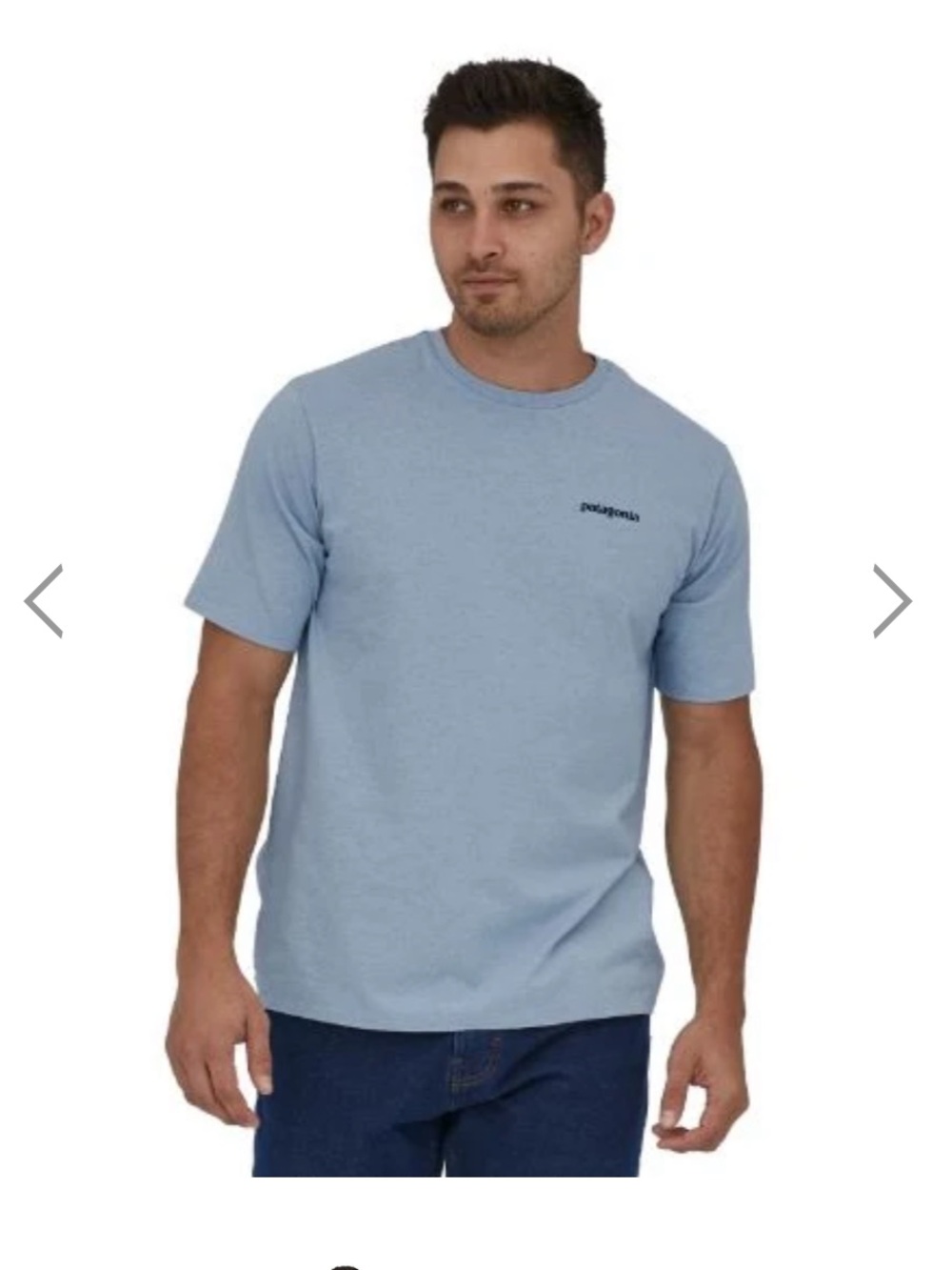 Patagonia Short Sleeve Crew Neck T-Shirt - Light Blue